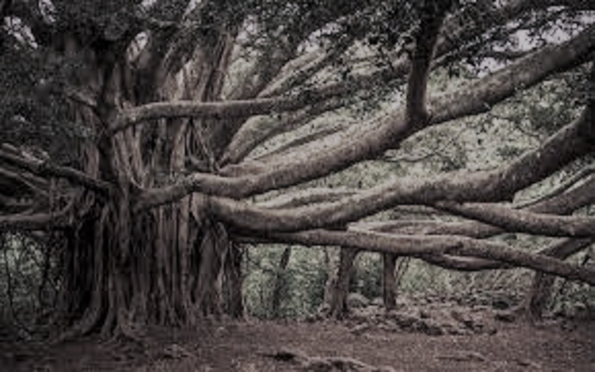 Paṅktipāvana Venkatakrishnaiah - Part 3